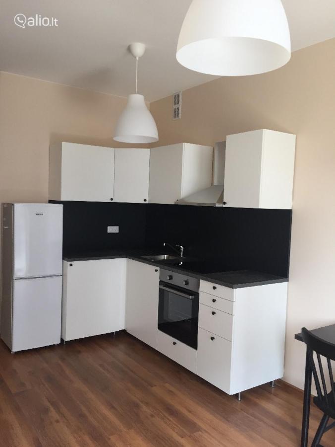 Close To Panorama Center Apartment Self Check-In Garage Free Wilna Exterior foto